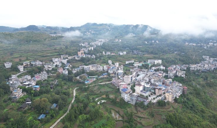 貴州思南：山貨乘“數(shù)”而上騰“云”出“山”