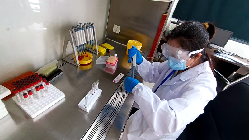 7、工作人員對入場的羊做布病檢測。刁苓沙 攝.jpg