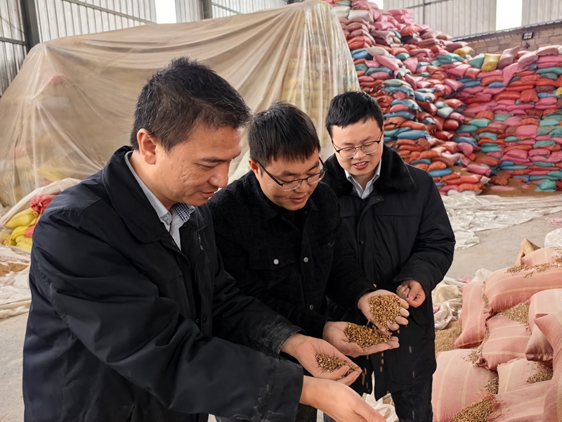 1、郵儲銀行工作人員與企業負責人一同查看剛收購的薏仁米。.jpg