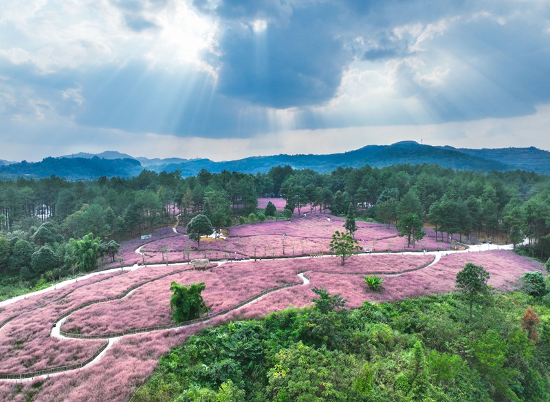 貴州獨(dú)山：乘勢(shì)而上開新局 奮楫揚(yáng)帆破浪行 (5).jpg