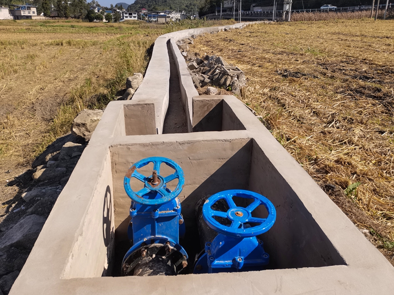 項目完工照片。