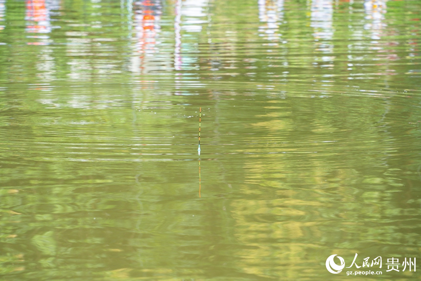 比賽現場。人民網 陽茜攝