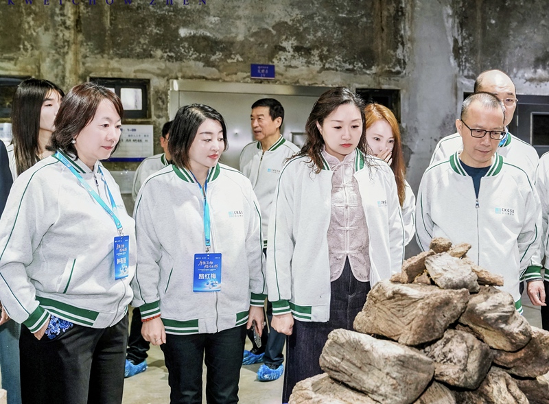 5活動(dòng)現(xiàn)場