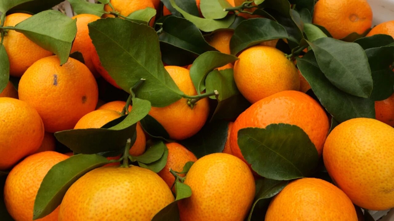 松桃世昌街道:3800畝特色產業鋪就鄉村振興致富路。