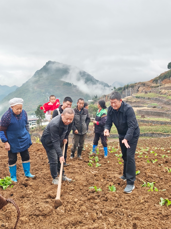 5、仁懷市各地還組織農技專家深入田間地頭,開展全周期技術指導服務。