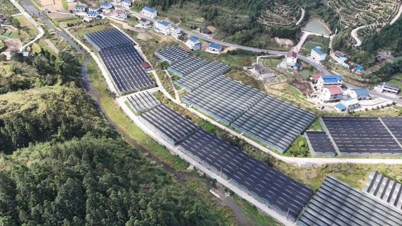 粵黔協(xié)作架消費(fèi)金橋 黔貨出山促鄉(xiāng)村振興。