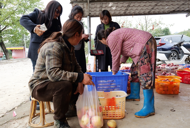 游客在購買蘋果。