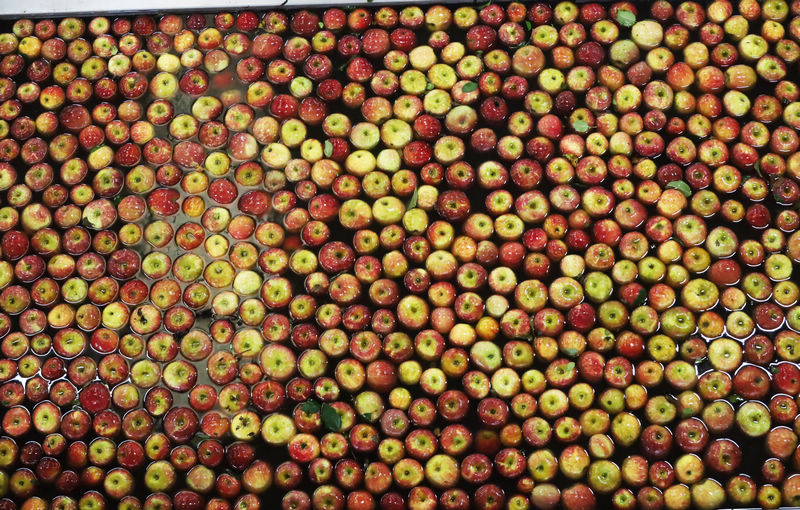 2025年11月4日，自動化設備生產線上正在清洗、測色、分級蘋果。