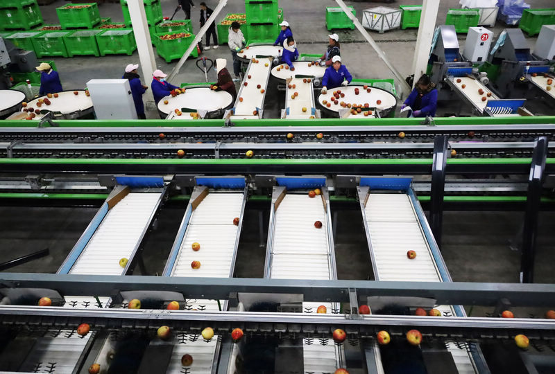 2025年11月4日，工人正在自動化設備生產線上操控設備分級蘋果。