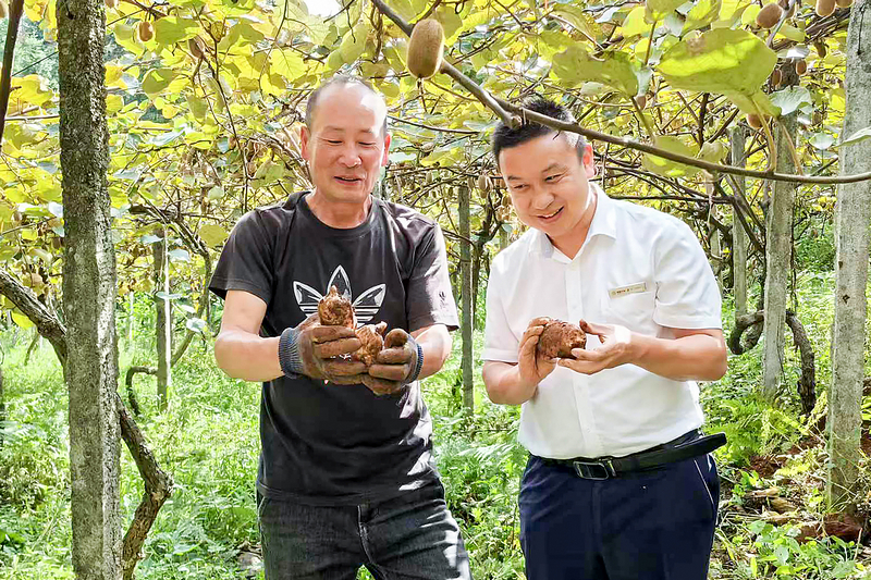 一起分享豐收的快樂。