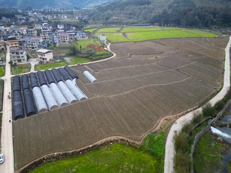 松桃長征村：勇闖產業振興“長征”路。