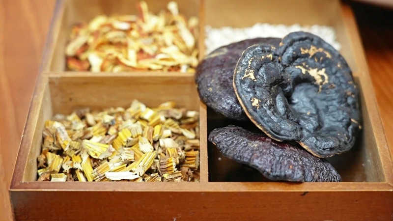 “中華九大仙草”之一靈芝 .jpg