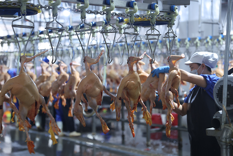 “后廠”生產(chǎn)車間.