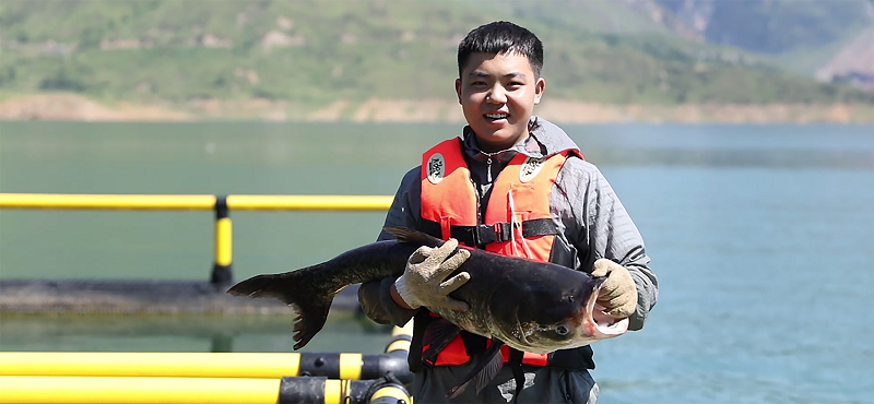 肥碩的鰱鳙魚。受訪者供圖