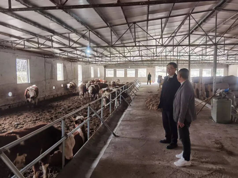 三都農商銀行上門走訪養(yǎng)殖戶。