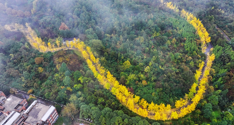 1 、秋景。 吳林燚攝.jpg