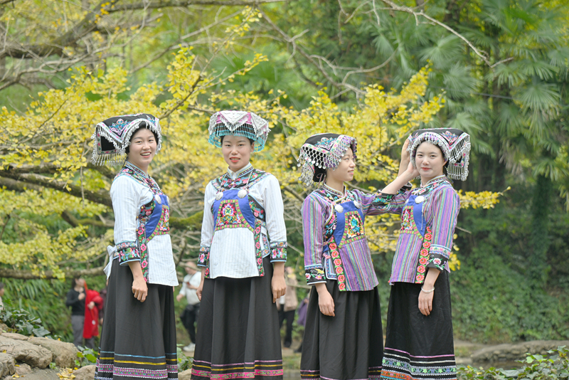 銀杏班成員民族風采。