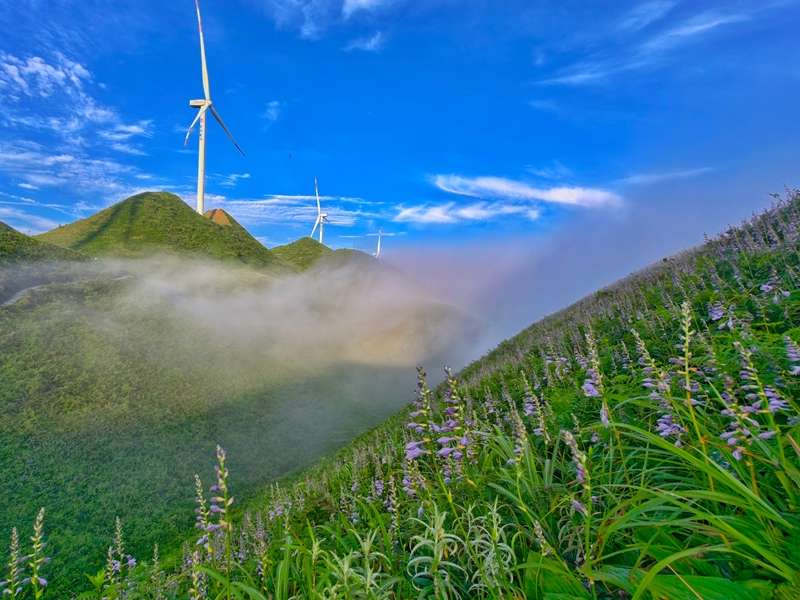 玉簪花云海景區,云霧繚繞,宛如仙境 吳艷禹 攝.jpg