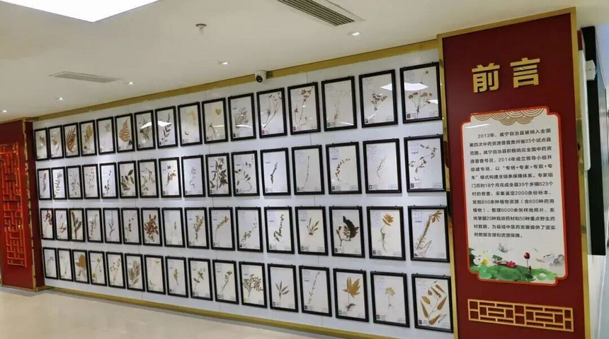 植物標本展示區。