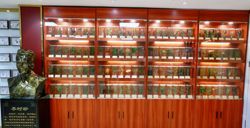 中藥活體標本展示區。