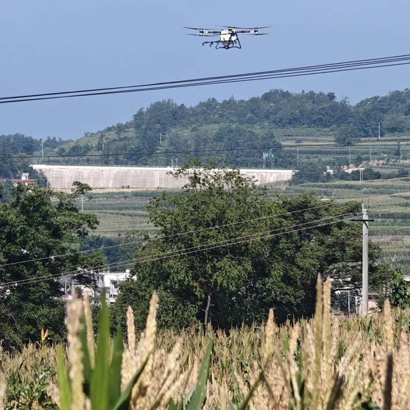 高青村利用無人機植保（資料圖）.jpg