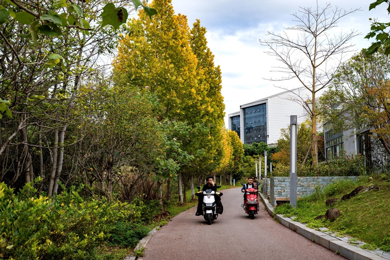 羅甸初冬一景。