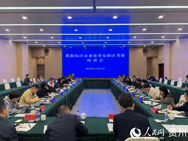 座談會現場。 貴州省大數據局供圖