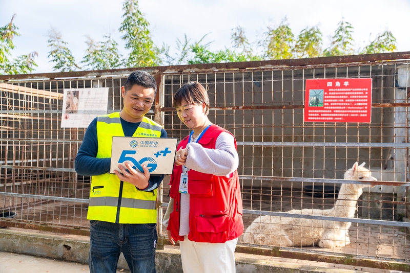 2  圖為貴州移動為深山里的動物園裝上“智慧安全眼”后進行網絡測試。.jpg