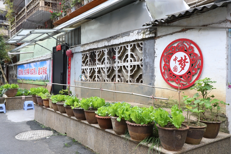 七星關區洪山街道洪山社區老舊小區改造后環境干凈整潔。邱夢如攝