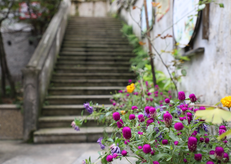 七星關區洪山街道洪山社區老舊小區改造后環境干凈整潔。邱夢如攝