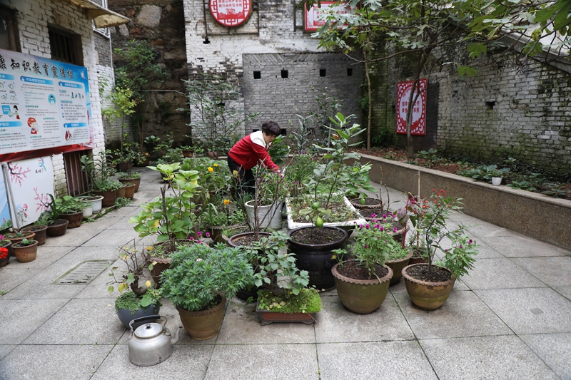 七星關區洪山街道洪山社區老舊小區改造后環境干凈整潔，居民正在打理自家院壩花園。邱夢如攝