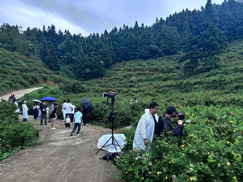 圖為央視《尋味山海》欄目組在黑土村拍攝刺梨現場.jpg