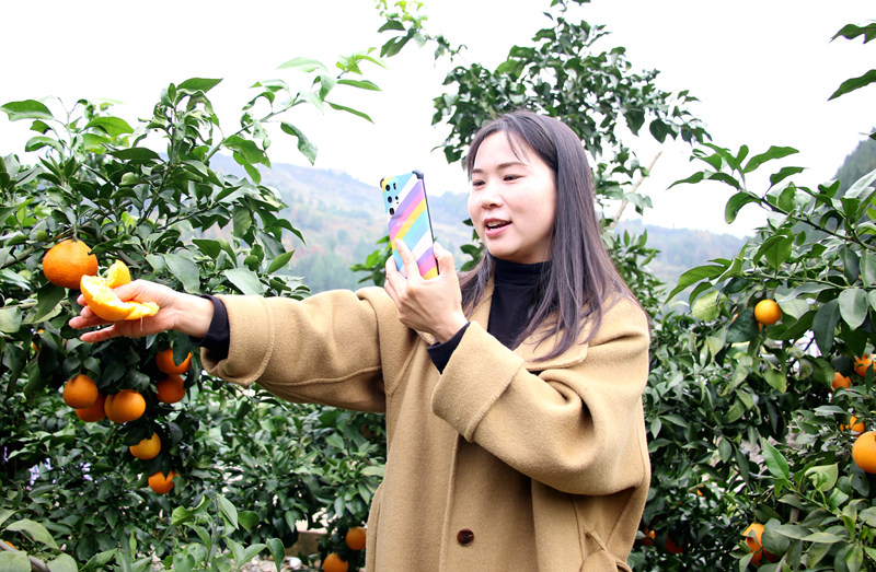 直播帶貨現場。