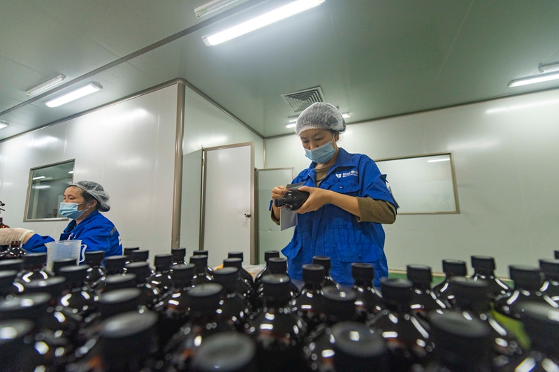 11月11日，在貴州省從江縣美娥工業(yè)園區(qū)的一家藥企，工人在生產(chǎn)車間趕制訂單。