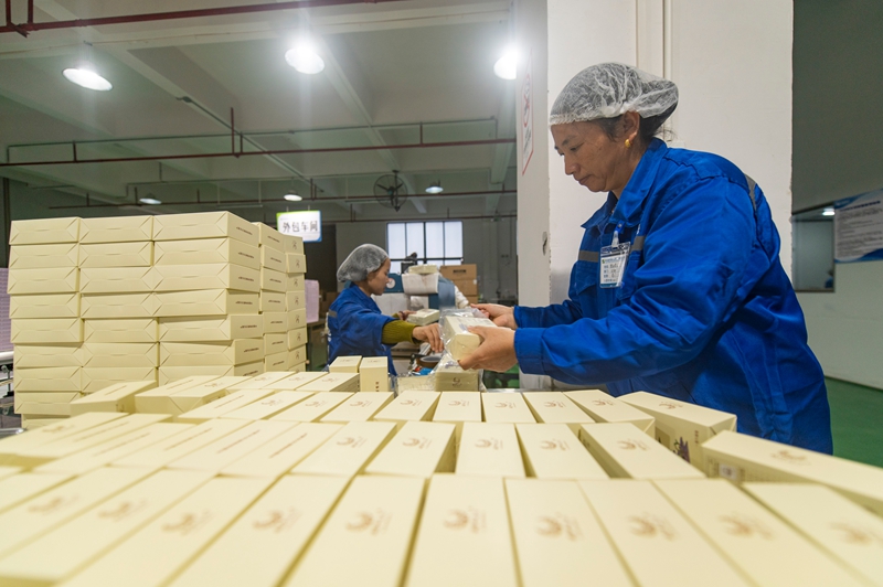 11月11日，在貴州省從江縣美娥工業園區的一家藥企，工人在生產車間趕制訂單。