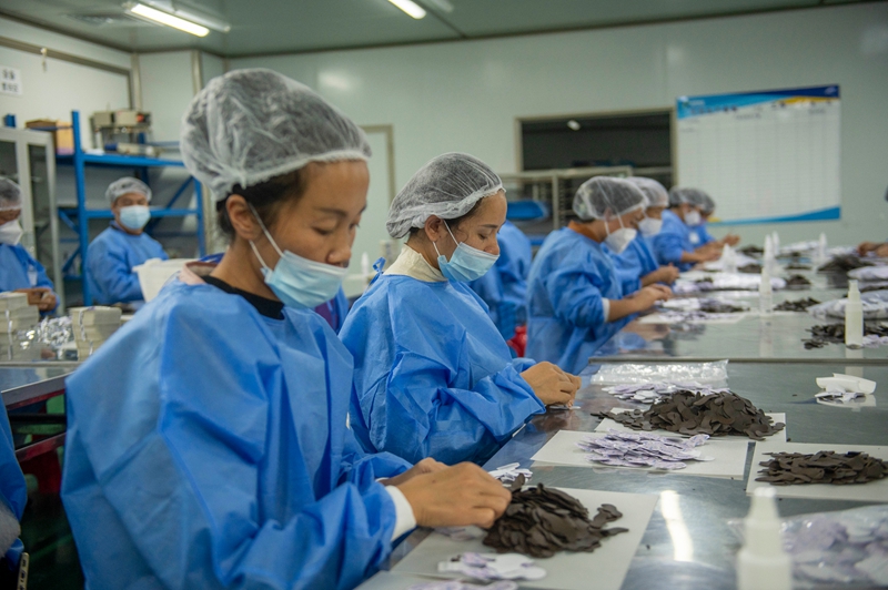 11月11日，在貴州省從江縣美娥工業園區的一家藥企，工人在生產車間趕制訂單。