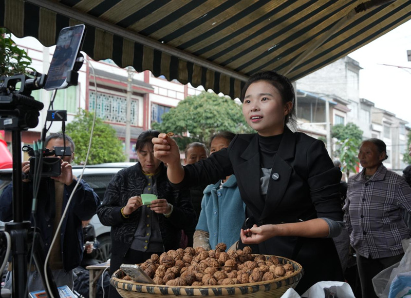 雙十一直播忙 特色農產品銷往全國。