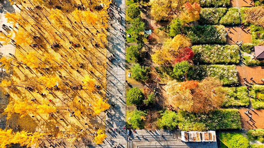 六盤水明湖國家濕地公園一角。