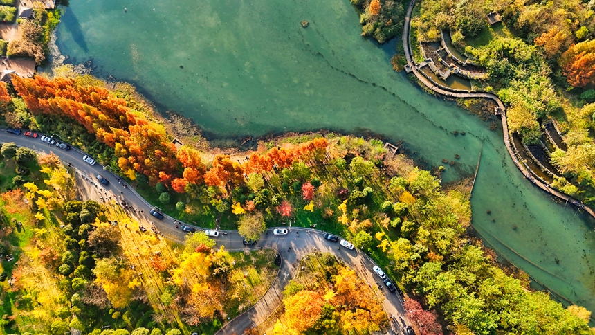 六盤水明湖國家濕地公園一角。