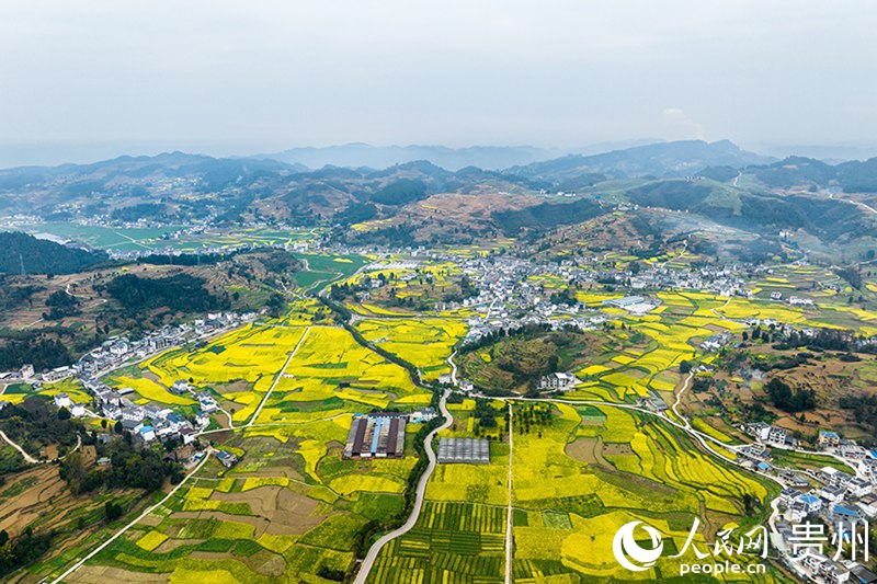 5、桐梓縣官倉鎮(zhèn)“兩清兩改兩治理”扮靚田園鄉(xiāng)景。涂敏攝