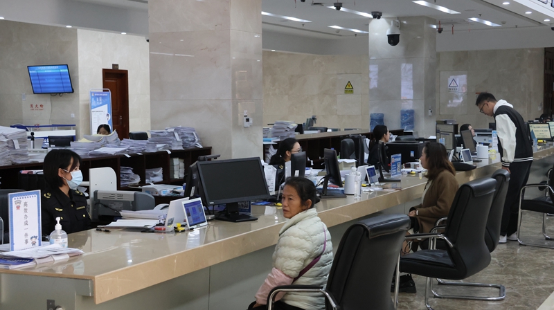 即時辦、快速審 貴州獨山信用修復“不見面”更省心。