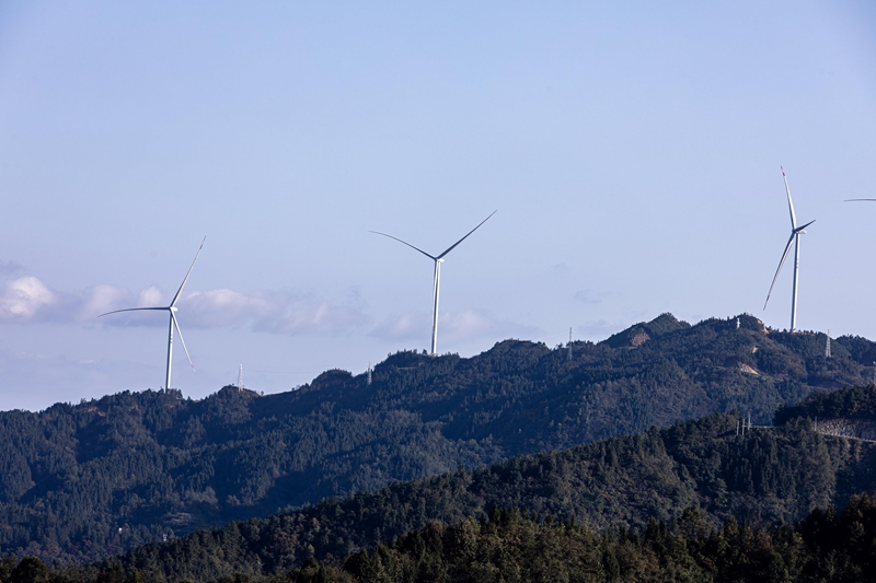 大亭風力發電一景。