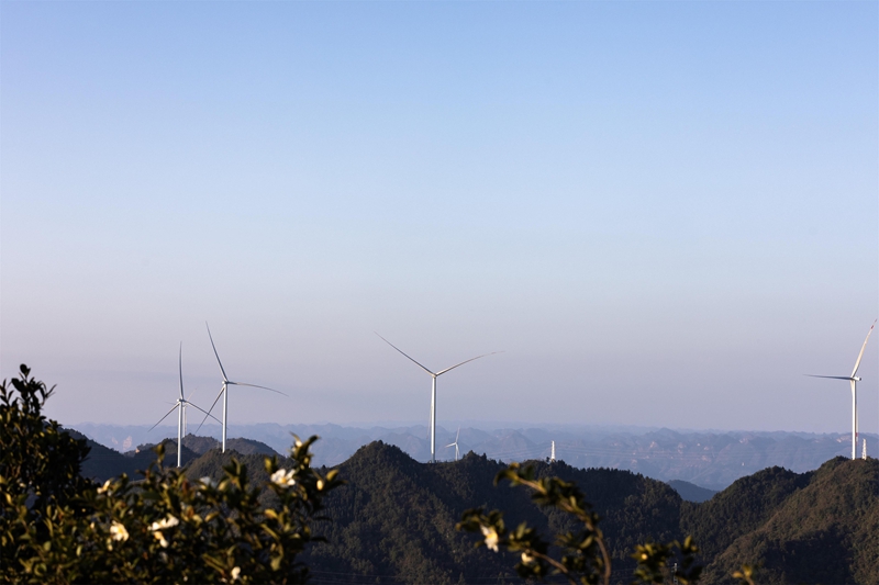 大亭風力發電一景。