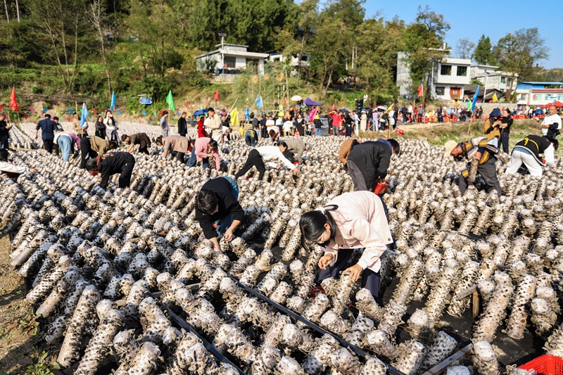 活動現(xiàn)場。