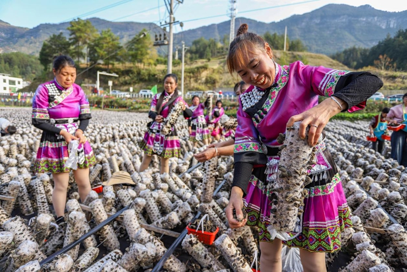 活動現(xiàn)場。
