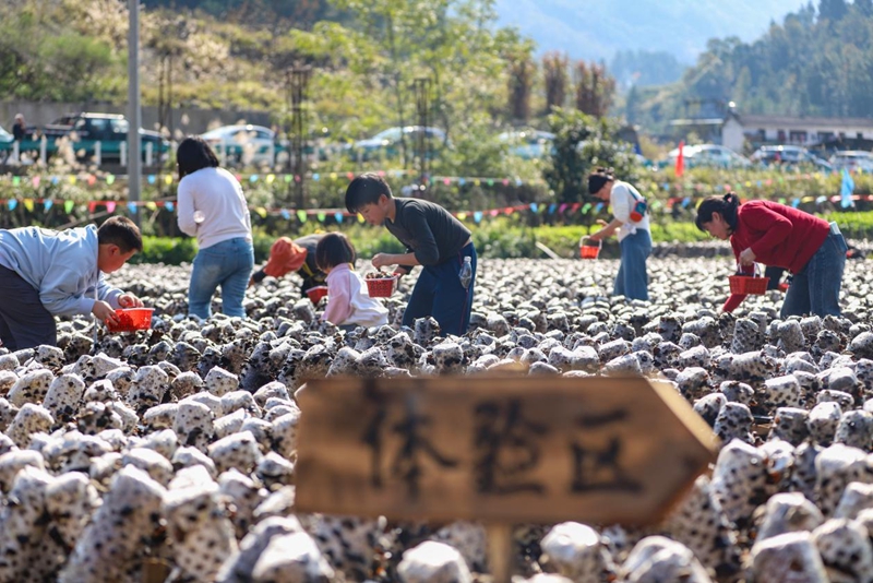 活動現(xiàn)場。