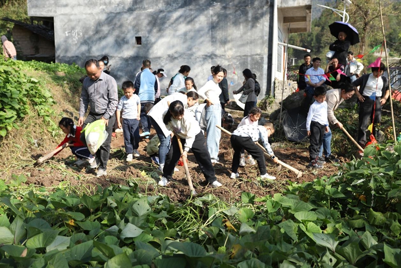 活動現(xiàn)場。