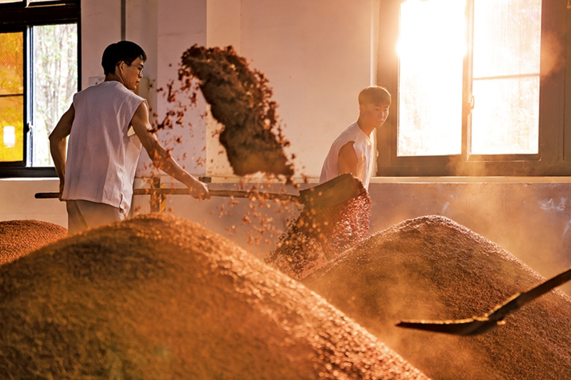 習(xí)水白酒企業(yè)生產(chǎn)車間熱鬧的生產(chǎn)場(chǎng)景。