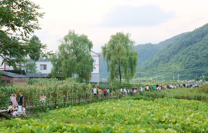 7、每到夏季，到土河避暑旅游的游客絡繹不絕。習水縣融媒體中心供圖.jpg
