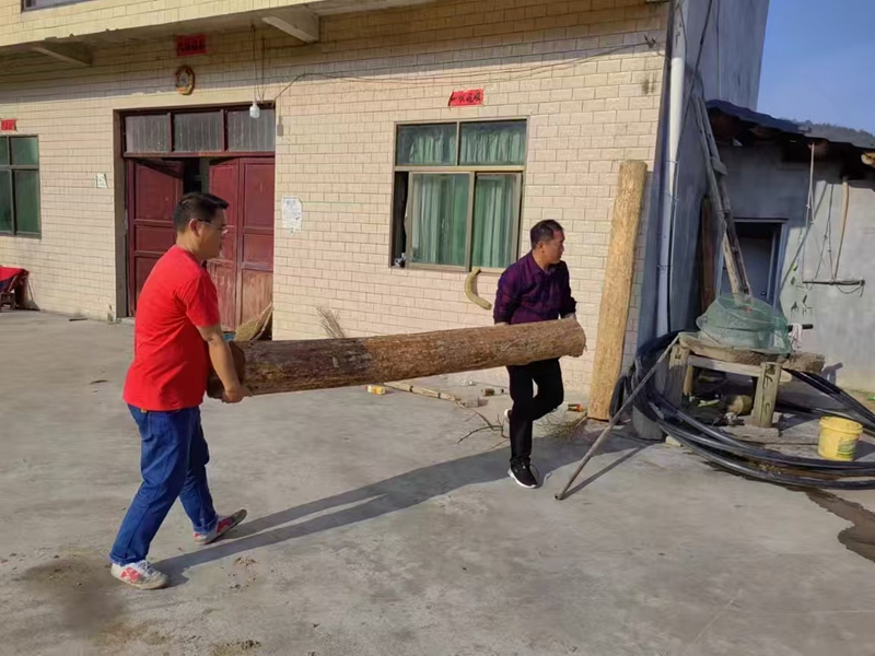 松桃雞爪幫扶干部則主動上門，幫助年老、行動不便的家庭整理庭院、清掃垃圾。